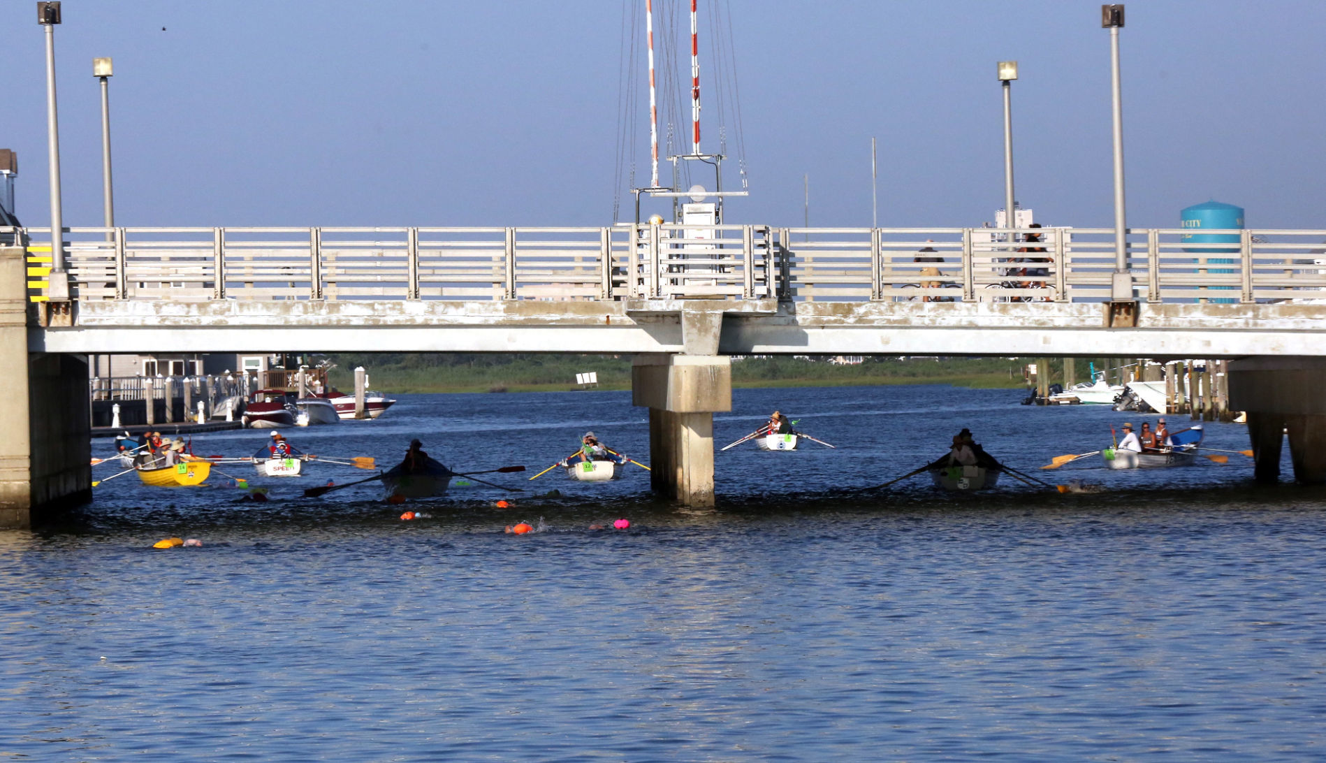 Atlantic City Around the Island Swim